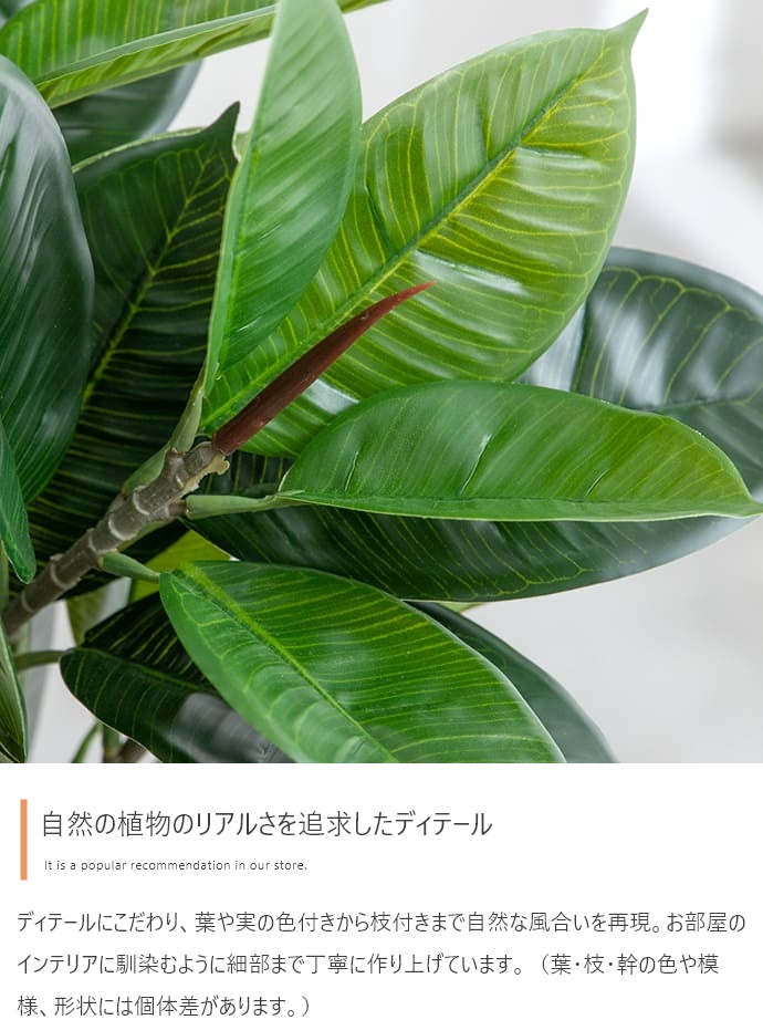 フェイクグリーン・オブジェ フェイクグリーン 高さ90cm Nature 光触媒人工観葉植物