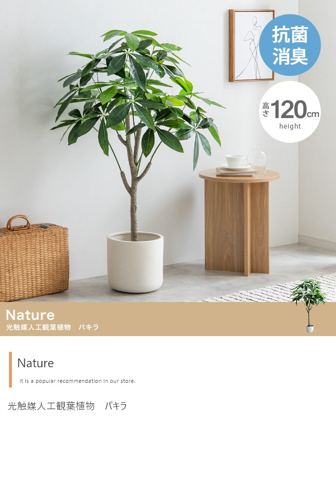 フェイクグリーン・オブジェ フェイクグリーン 高さ120cm Nature 光触媒人工観葉植物