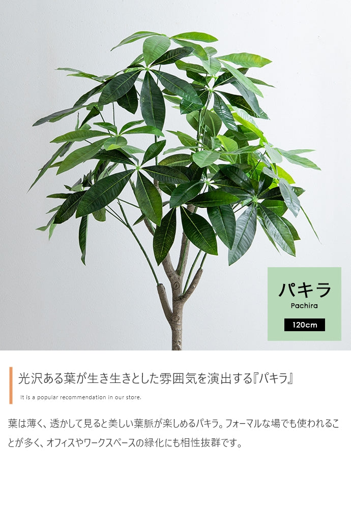 フェイクグリーン・オブジェ フェイクグリーン 高さ120cm Nature 光触媒人工観葉植物