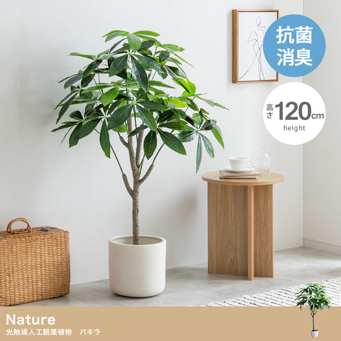 フェイクグリーン・オブジェ フェイクグリーン 高さ120cm Nature 光触媒人工観葉植物