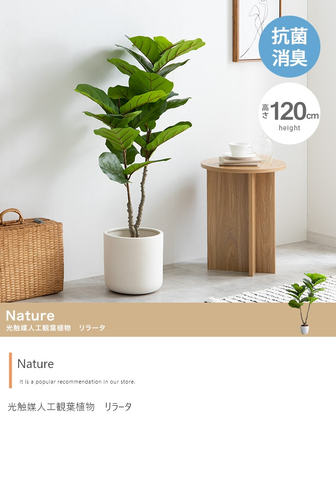 フェイクグリーン・オブジェ フェイクグリーン 高さ120cm Nature リラータ