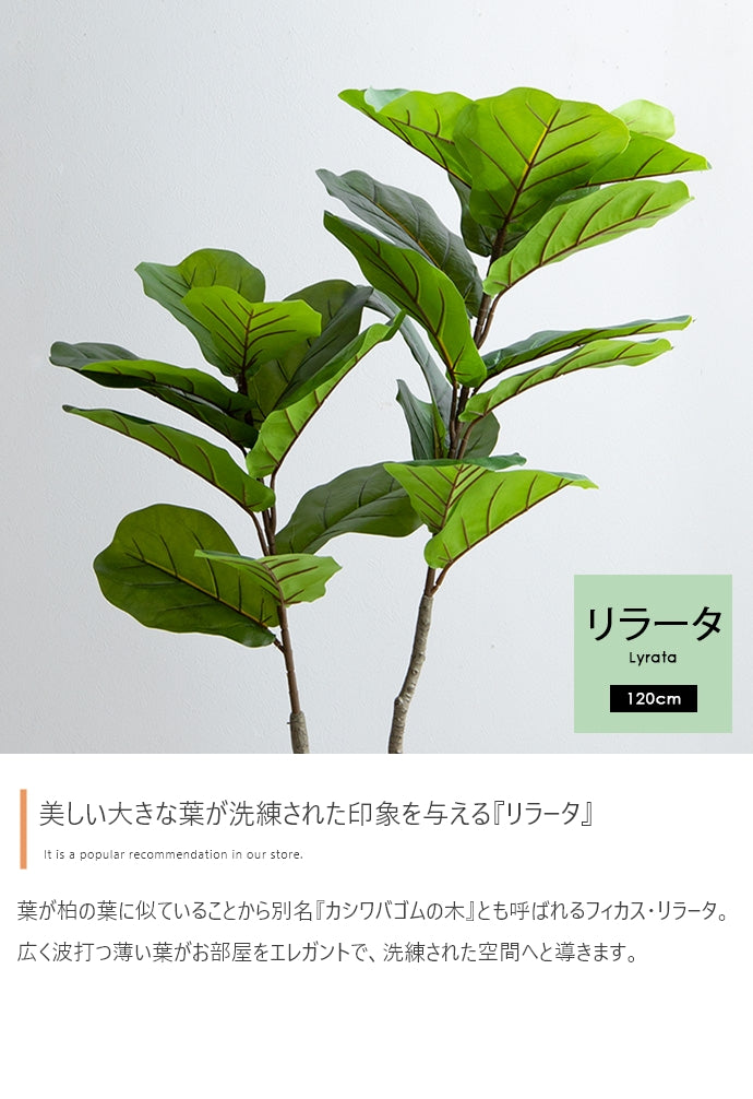 フェイクグリーン・オブジェ フェイクグリーン 高さ120cm Nature リラータ