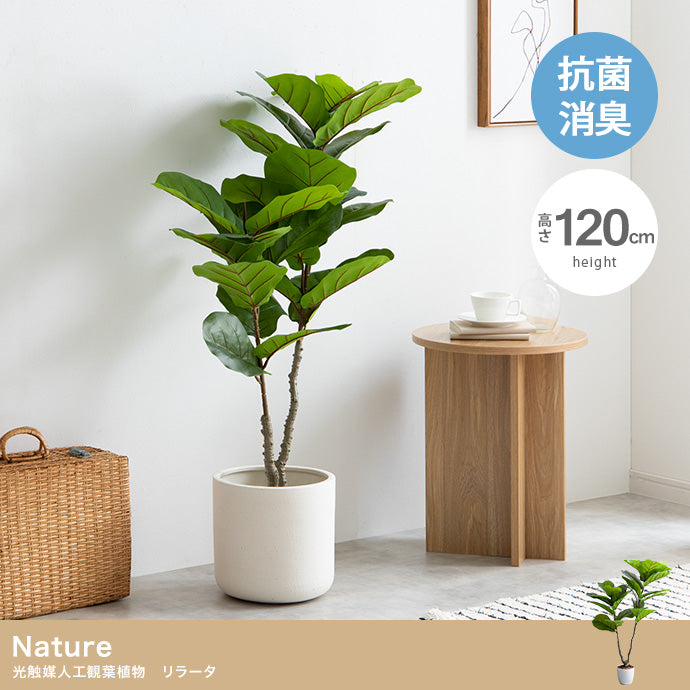 フェイクグリーン・オブジェ フェイクグリーン 高さ120cm Nature リラータ