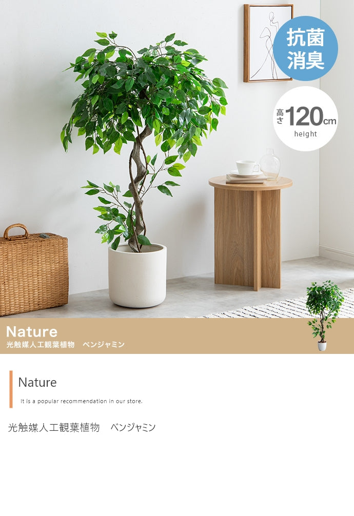 フェイクグリーン・オブジェ フェイクグリーン 高さ120cm Nature オブジェ