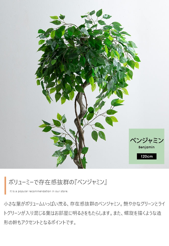 フェイクグリーン・オブジェ フェイクグリーン 高さ120cm Nature オブジェ