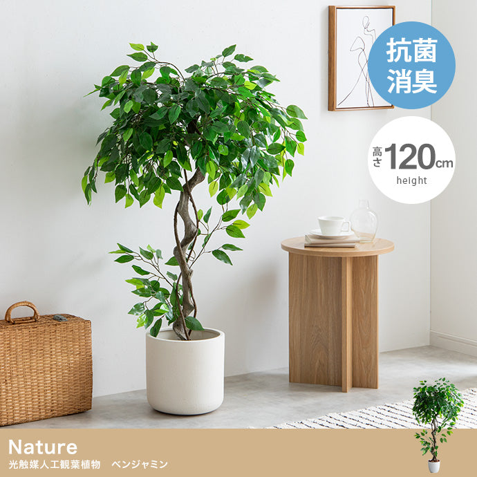 フェイクグリーン・オブジェ フェイクグリーン 高さ120cm Nature オブジェ