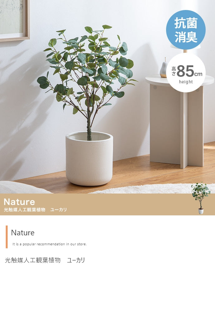 フェイクグリーン・オブジェ フェイクグリーン 高さ85cm Nature ユーカリ