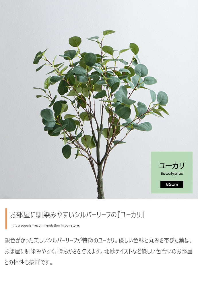 フェイクグリーン・オブジェ フェイクグリーン 高さ85cm Nature ユーカリ
