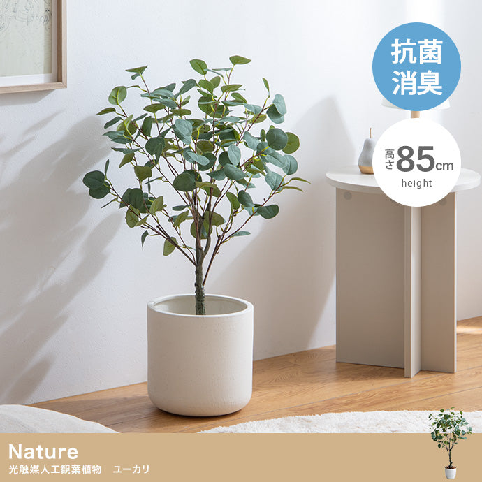 フェイクグリーン・オブジェ フェイクグリーン 高さ85cm Nature ユーカリ
