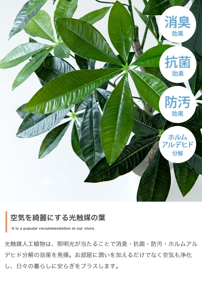 フェイクグリーン・オブジェ フェイクグリーン 高さ130cm Nature 光触媒人工観葉植物