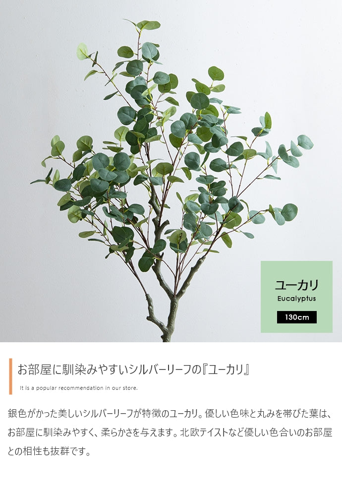 フェイクグリーン・オブジェ フェイクグリーン 高さ130cm Nature 光触媒人工観葉植物
