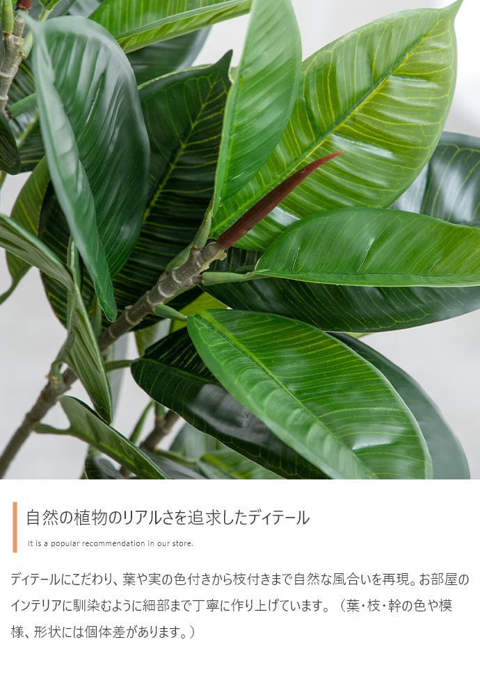 フェイクグリーン・オブジェ フェイクグリーン 高さ130cm Nature 光触媒人工観葉植物