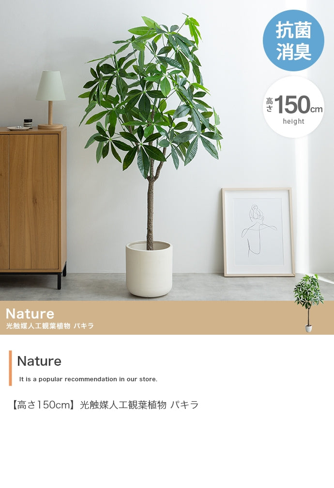 フェイクグリーン・オブジェ フェイクグリーン 高さ150cm Nature 光触媒人工観葉植物