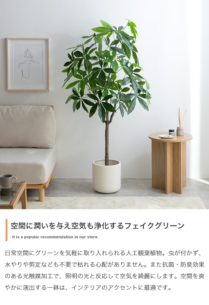 フェイクグリーン・オブジェ フェイクグリーン 高さ150cm Nature 光触媒人工観葉植物