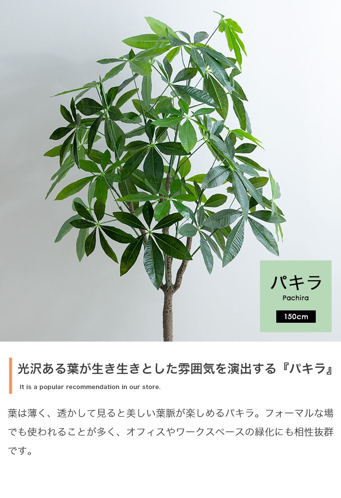 フェイクグリーン・オブジェ フェイクグリーン 高さ150cm Nature 光触媒人工観葉植物