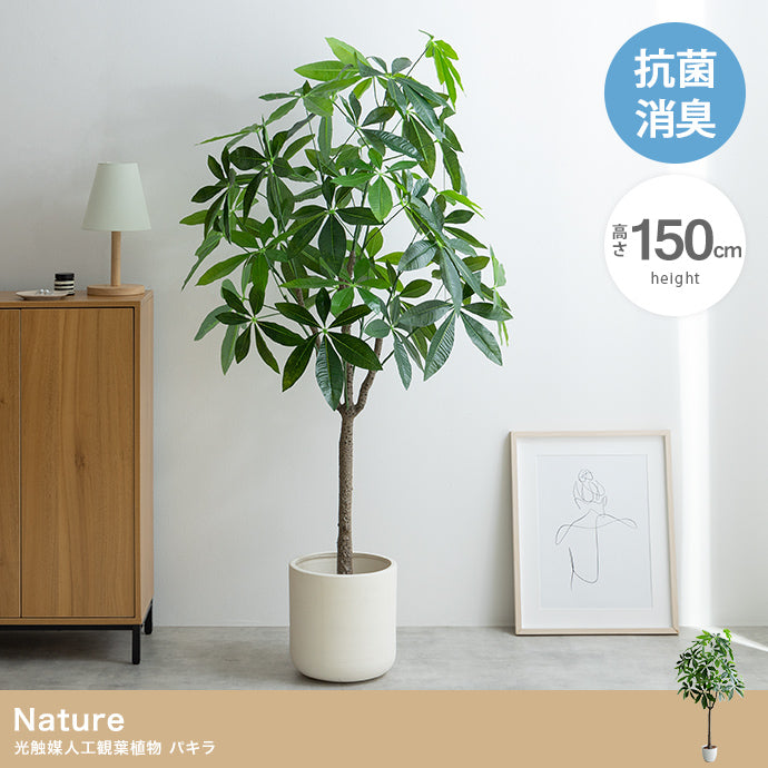 フェイクグリーン・オブジェ フェイクグリーン 高さ150cm Nature 光触媒人工観葉植物