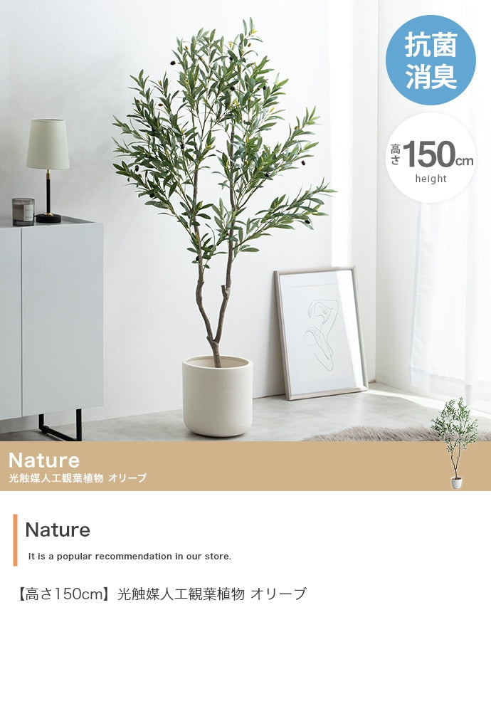 フェイクグリーン・オブジェ フェイクグリーン 高さ150cm Nature オリーブ