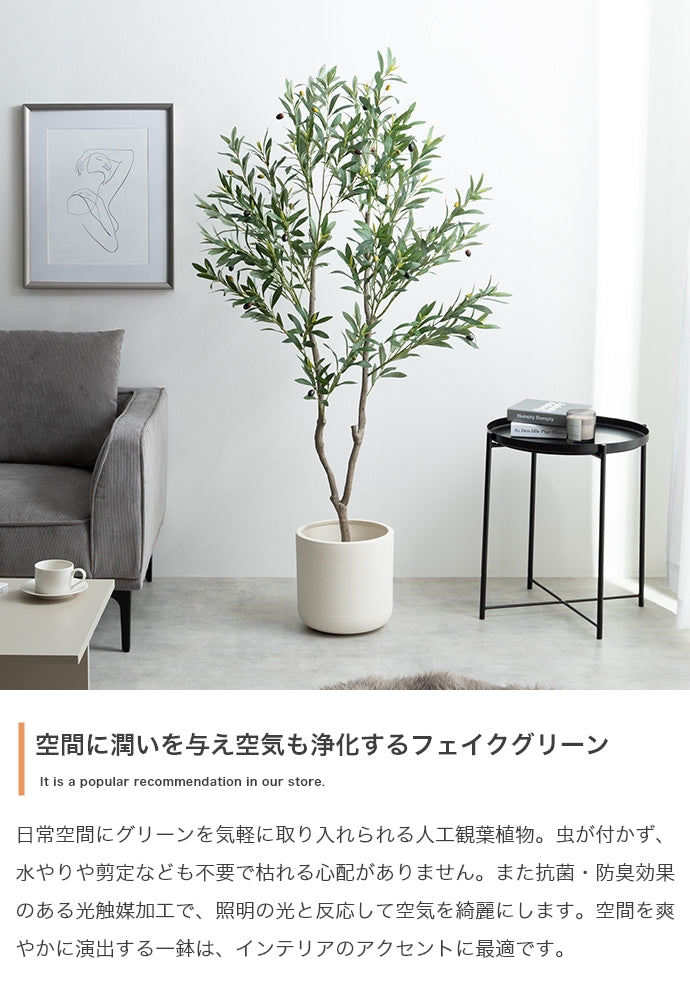 フェイクグリーン・オブジェ フェイクグリーン 高さ150cm Nature オリーブ