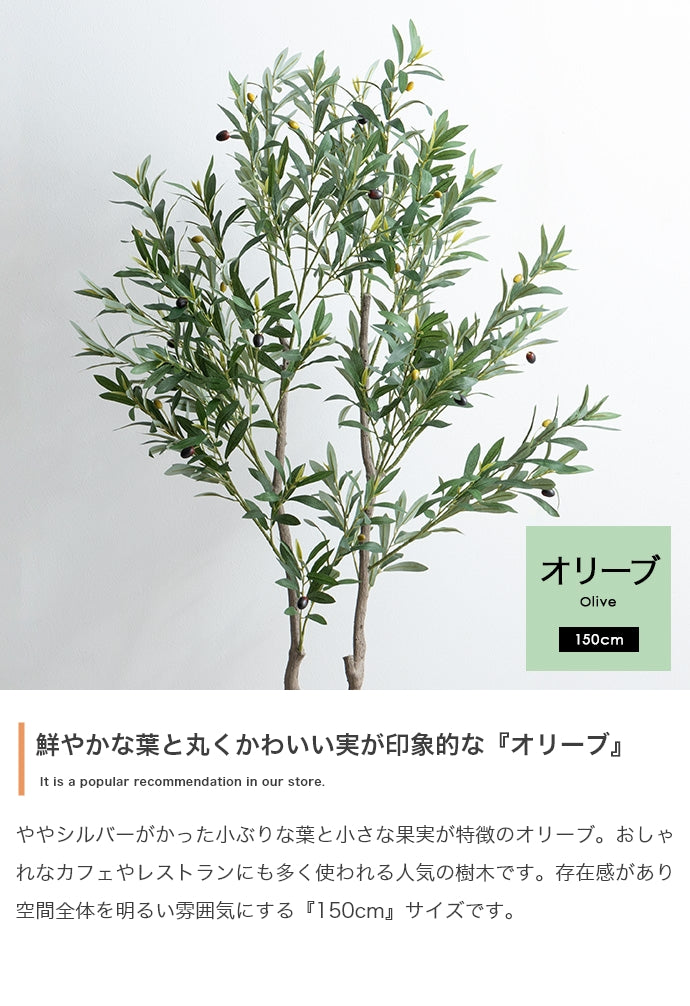 フェイクグリーン・オブジェ フェイクグリーン 高さ150cm Nature オリーブ