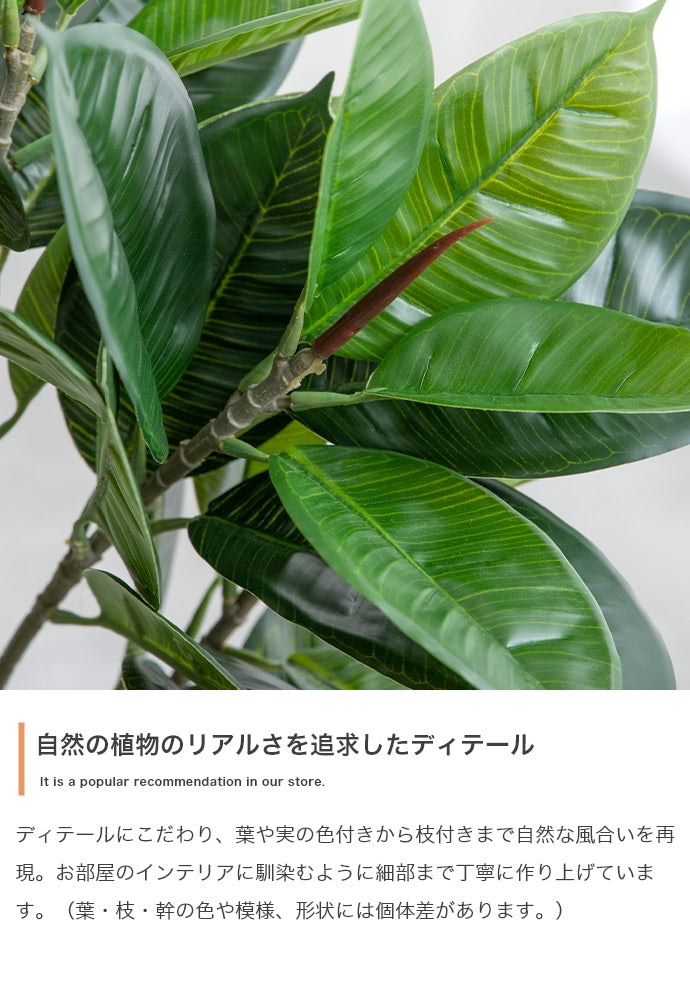 フェイクグリーン・オブジェ フェイクグリーン 高さ150cm Nature オリーブ