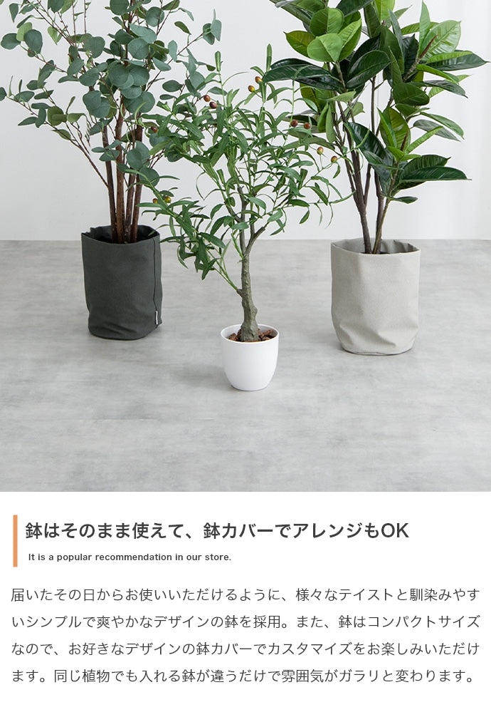 フェイクグリーン・オブジェ フェイクグリーン 高さ150cm Nature オリーブ