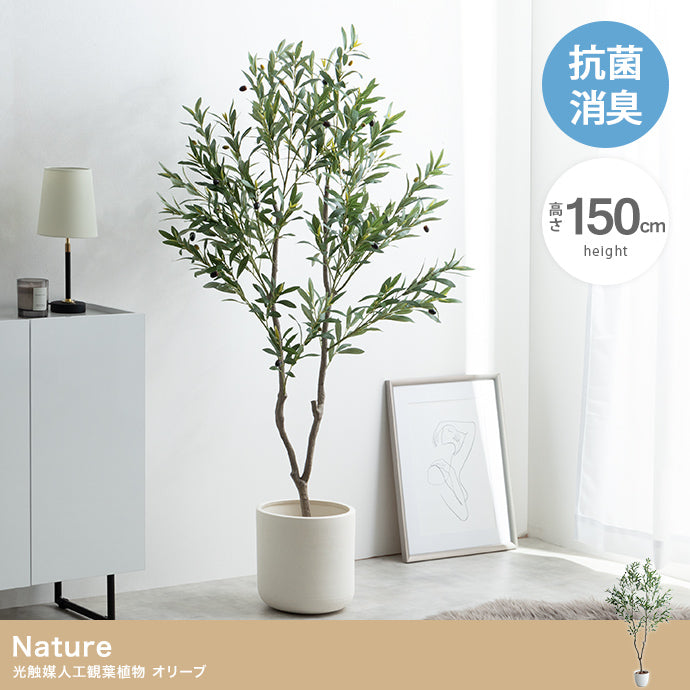 フェイクグリーン・オブジェ フェイクグリーン 高さ150cm Nature オリーブ