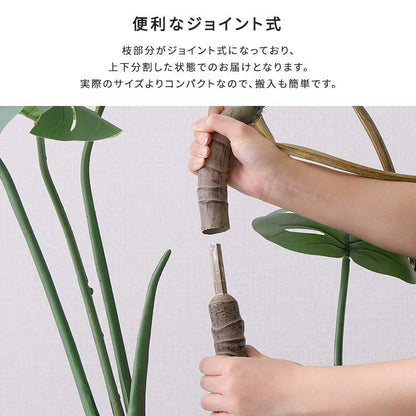 お手入れ簡単フェイクグリーン モンステラ Mサイズ(150cm)