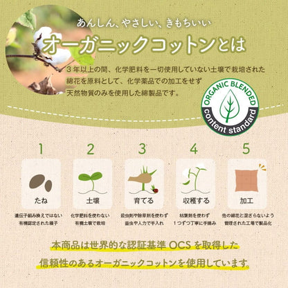 馬蹄 フローOG バテイ BE 45X43 45×43cm 日用品 クッション クッション・座布団