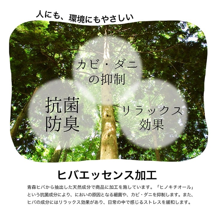 ラグ NCXシルフ 長方形 BL 180X240 180×240cm ラグマット カーペット 絨毯