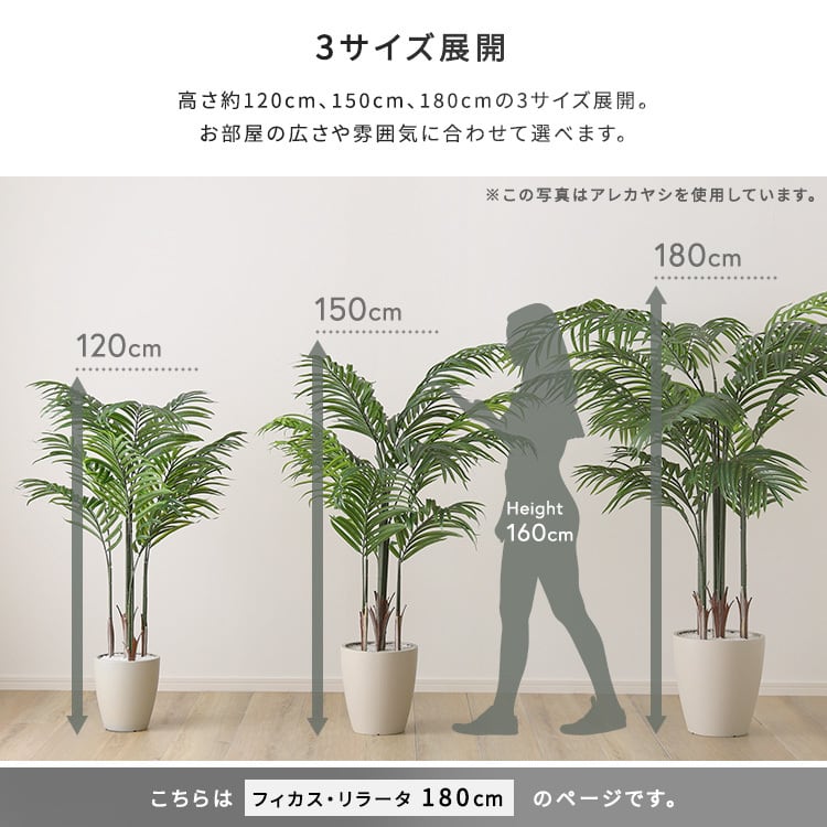 お手入れ簡単フェイクグリーン フィカス・リラータ Lサイズ(180cm) フェイクグリーン 観葉植物