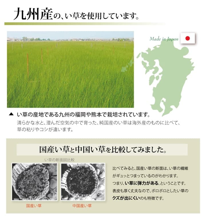 い草ラグ ほほえみ 三六4.5畳 273X273 273×273cm ラグマット カーペット ラグ