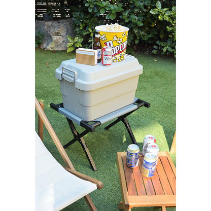 ストレージ トランクカーゴ 50L 幅60×奥行39×高さ37cm リビング収納 完成品