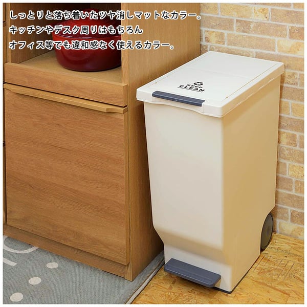 ダストボックス スライドペダルペール45L 幅26×奥行44.5×高さ58cm 日用品 完成品 屋外