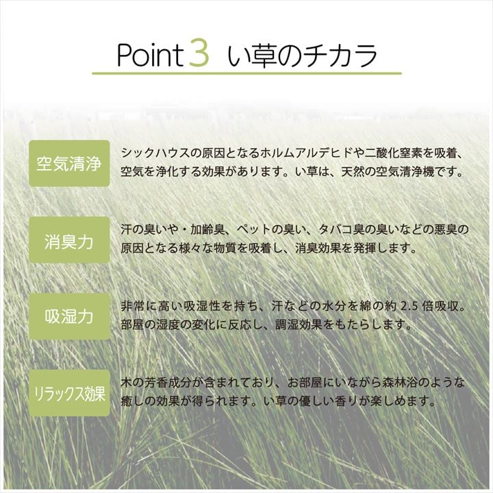 置き畳 Isデザインリーフ 9P 半畳 82X82 82×82cm ラグマット カーペット ラグ
