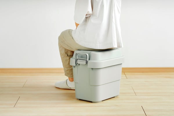 ストレージ トランクカーゴ20L 幅39.2×奥行29.4×高さ37cm リビング収納 完成品