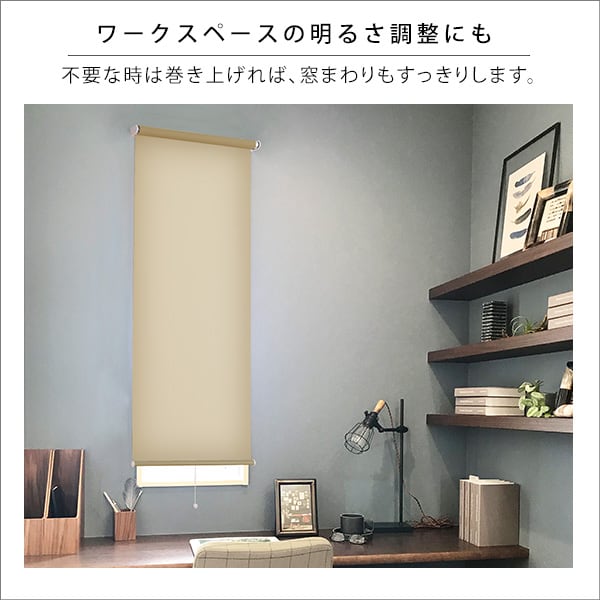 ブラインド 壁空け不要!つっぱりロールスクリーン 幅60cm(採光タイプ) スクリーン 間仕切り