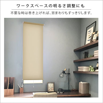 ブラインド 壁空け不要!つっぱりロールスクリーン 幅60cm(採光タイプ) スクリーン 間仕切り