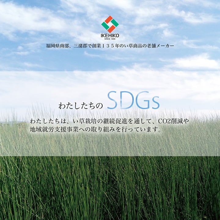 置物 い草リース 20×20 20 20Rcm ラグマット カーペット ラグ 絨毯 生活雑貨 育成