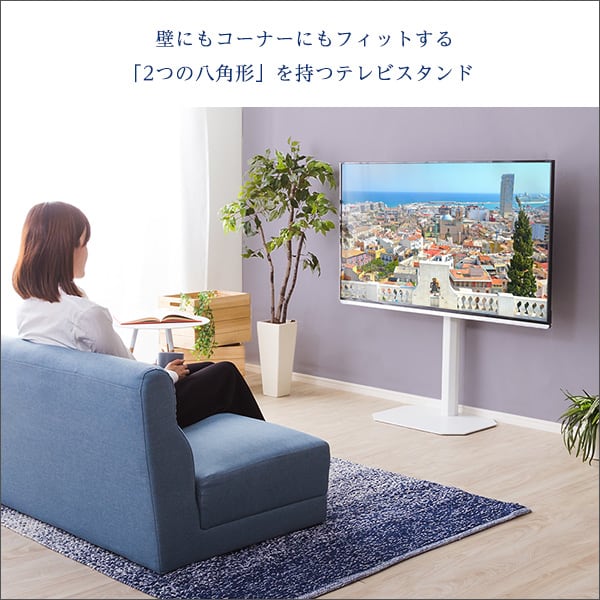 八角テレビスタンド専用 ハードディスクホルダーセット HDDホルダー 背面収納 簡単取付 ルーター
