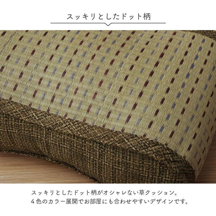 腰当 クリア フィット BL 20X38 38×20cm 日用品 抗菌 ブルー グリーン クッション