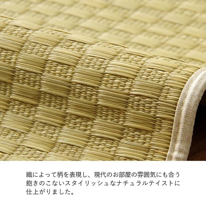 ラグ DXプレーン 普通版長方形 191X250 191×250cm ラグマット カーペット 絨毯