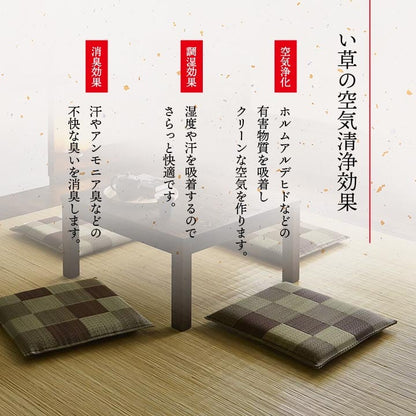 ブロック 座布団 2P BR 55X55 55×55cm 日用品 消臭 日本製 布団