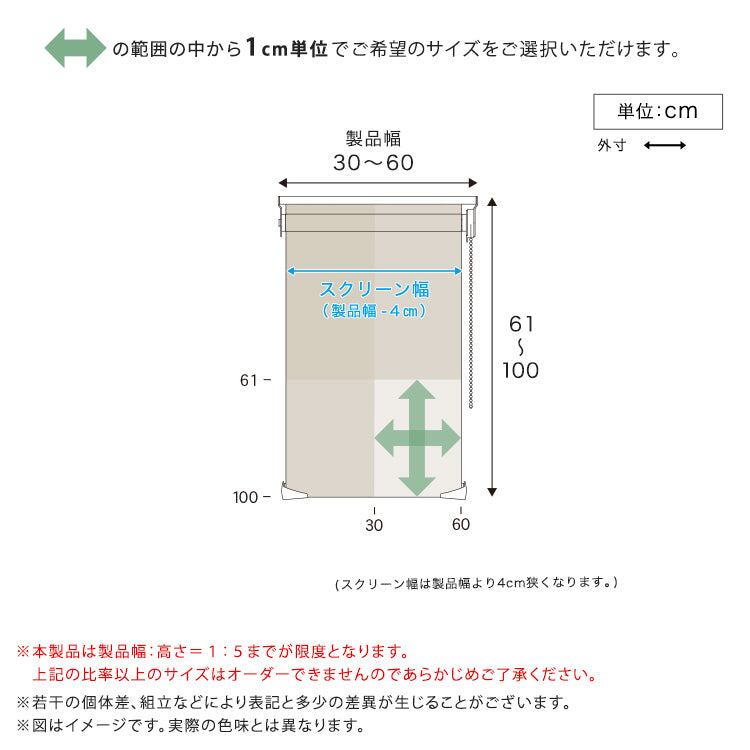 1cm単位のオーダー対応! 調光ロールスクリーン 幅30~60cm×高さ61~100cm DIY・工 スチール
