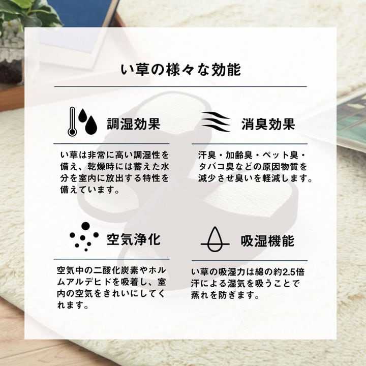 ルームシューズ スアブ ストレッチ BK フリー 玄関収納 消臭 室内履き 生活雑貨