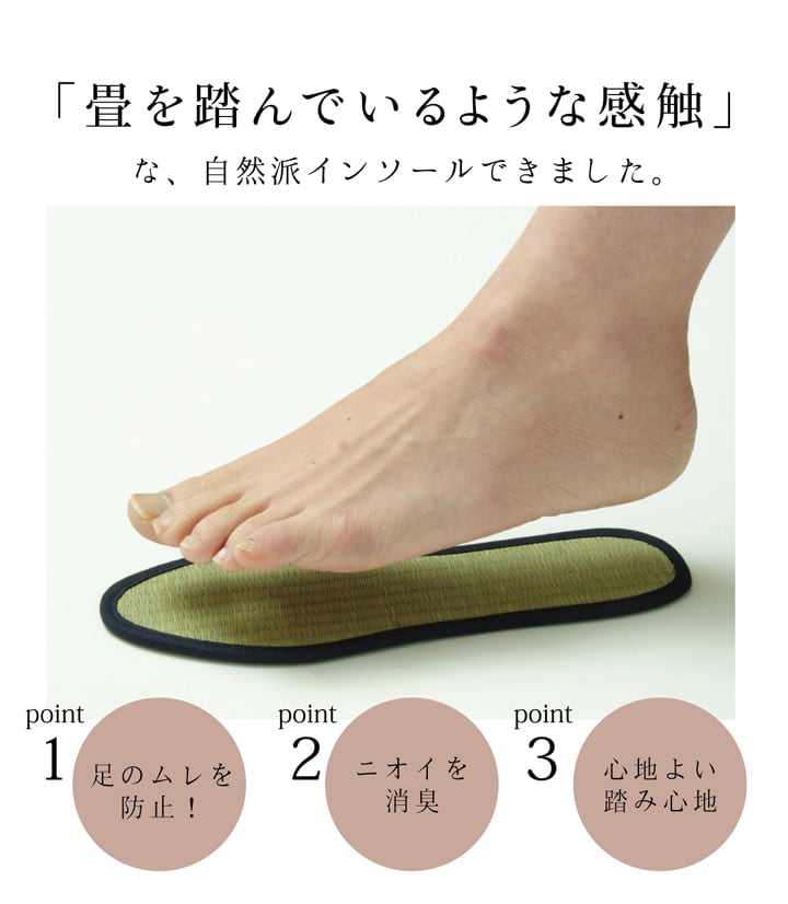 い草インソール色無 17cm NV 17 ラグマット カーペット ラグ 絨毯 消臭 インソール