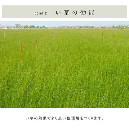 置き畳 ネイラル 9P 半畳 70X70 70×70×1.5cm ラグマット カーペット ラグ 絨毯