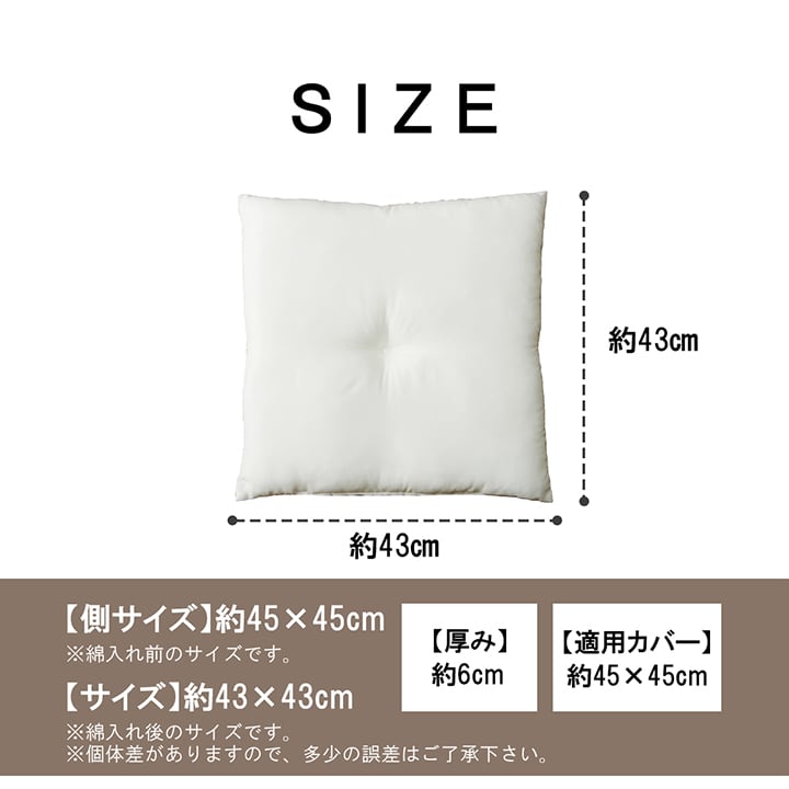 クッション ヌード 2P シート IV 45X45 45×45cm 日用品 日本製