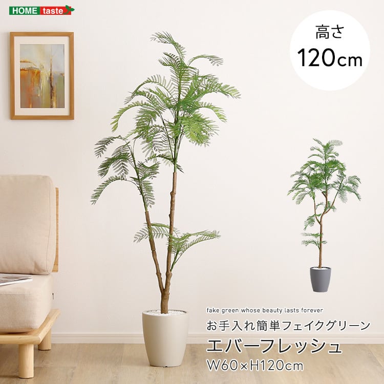 お手入れ簡単フェイクグリーン エバーフレッシュ Sサイズ(120cm) フェイクグリーン 観葉植物