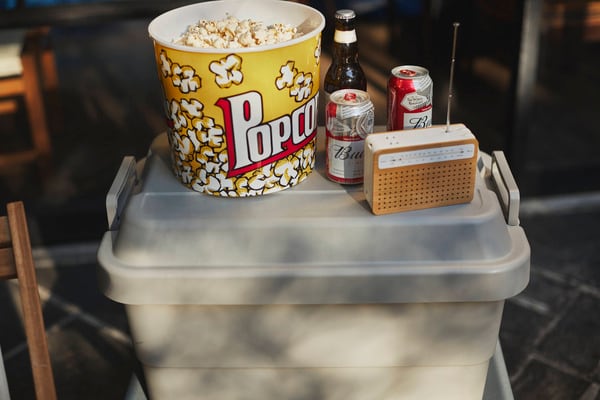 ストレージ トランクカーゴ 50L 幅60×奥行39×高さ37cm リビング収納 完成品 組立不要