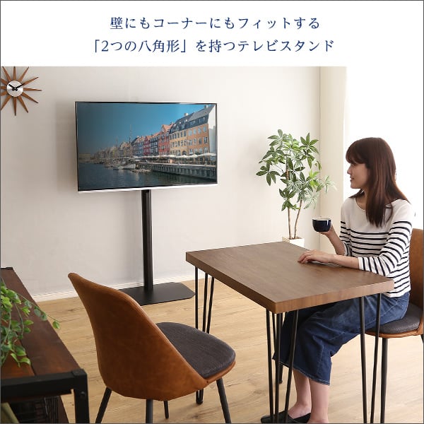 八角テレビスタンドハイタイプ専用 ハードディスクホルダーセット HDDホルダー 背面収納 簡単取付